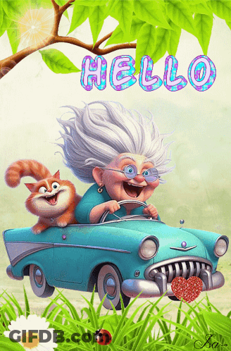 Elderly Woman Driving Car With Cat Hello GIF