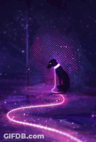 Elderly Woman In Purple Coat Playing With Dog In Field GIF