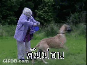 Elderly Woman In Purple Coat Playing With Dog In Field GIF