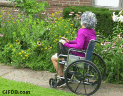 Elderly Woman In Wheelchair Sitting In Front Of Flowers GIF