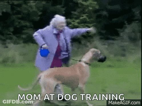 Elderly Woman Playing With Dog Mom At Dog Training GIF