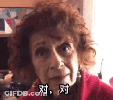 Elderly Woman's Face With Chinese Writing GIF