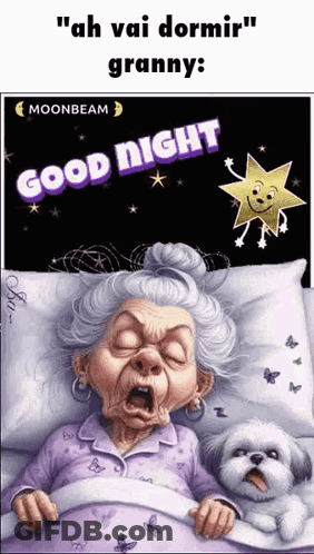 Elderly Woman Sleeping Next To Dog Good Night Granny GIF