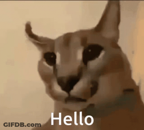 Elderly Woman With Heart Glasses Saying Sorry GIF