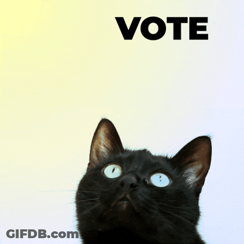 Election Day Cat Following Vote Direction GIF