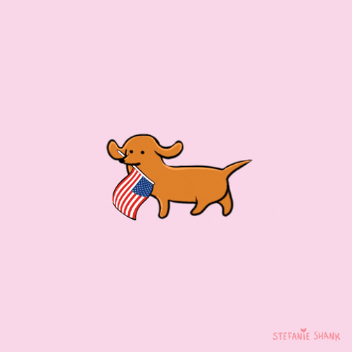 Election Day Cute Puppy Holding Flag GIF