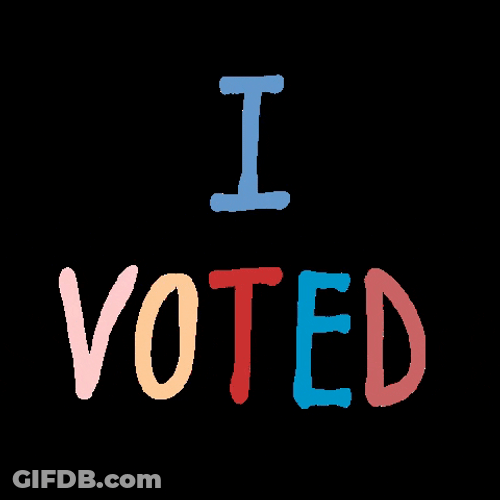 Election Day I Voted With Check Mark GIF