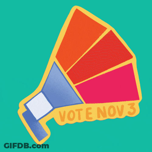 Election Day Use Your Voice Vote Now GIF