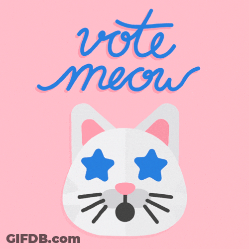 Election Day Vote Meow Cat GIF