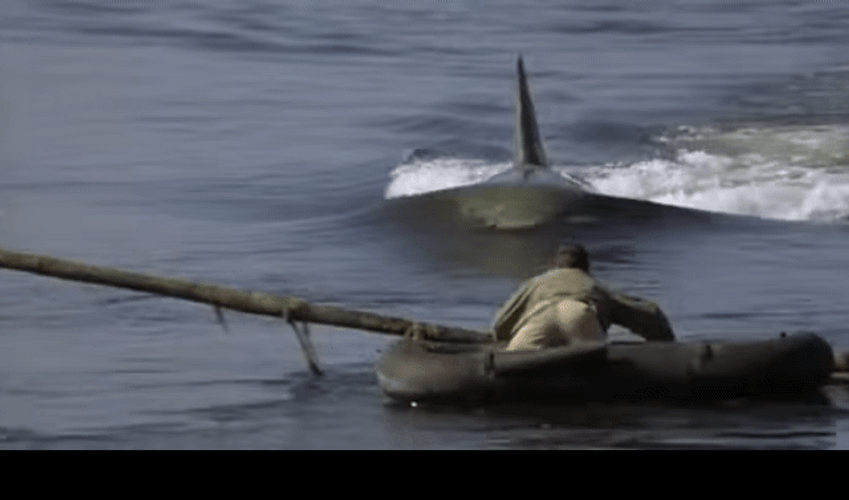 Electrifying Big Jaws GIF
