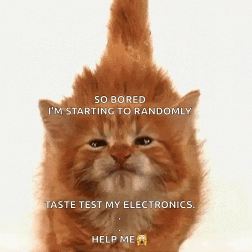 Electronics Cat Rising Fur GIF