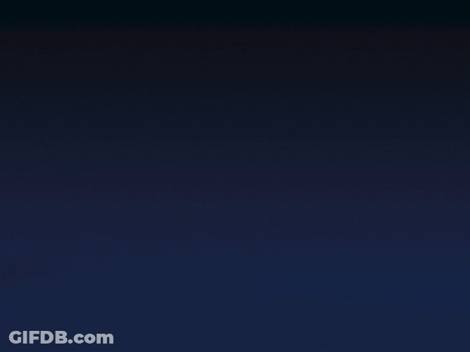 Elegant Navy Blue Panther GIF