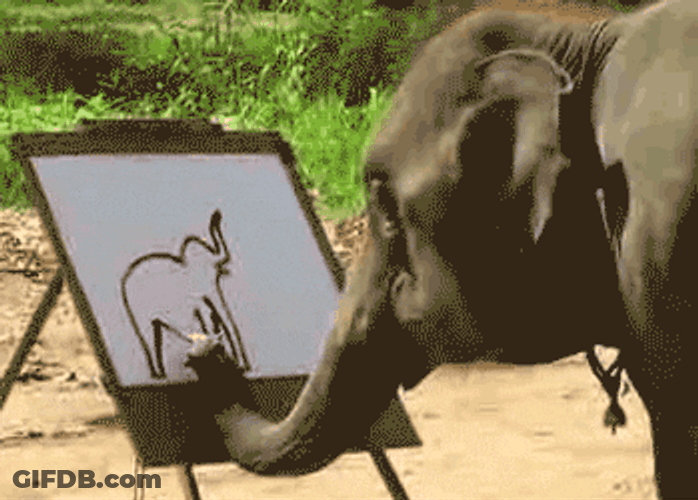 Elephant Art Painting GIF