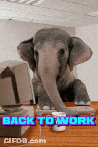 Elephant At Desk Back To Work GIF