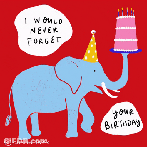 Elephant Birthday Party GIF