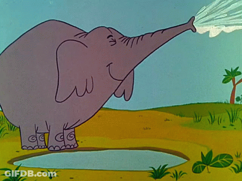 Elephant Drinking Water From Pond GIF