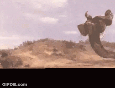 Elephant Flying In Desert Haters Gonna Hate GIF