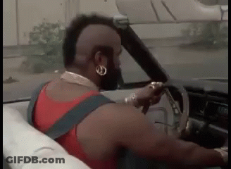Elephant I'm All Ears GIF