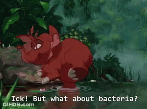 Elephant In Water With Bacteria Words GIF