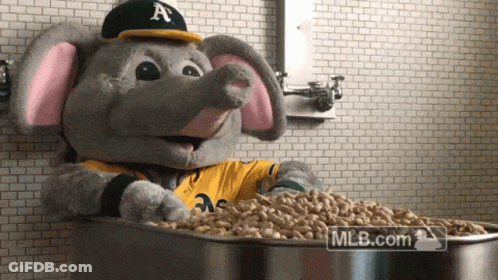 Elephant Mascot Sitting In Bowl Of Peanuts MLB.com GIF