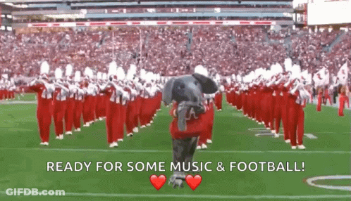 Elephant Mascot With Marching Band Ready For Some Music And Football GIF
