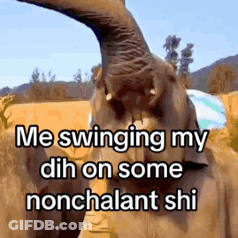 Elephant Me Swinging My DH On Some Nonchalant Shi GIF