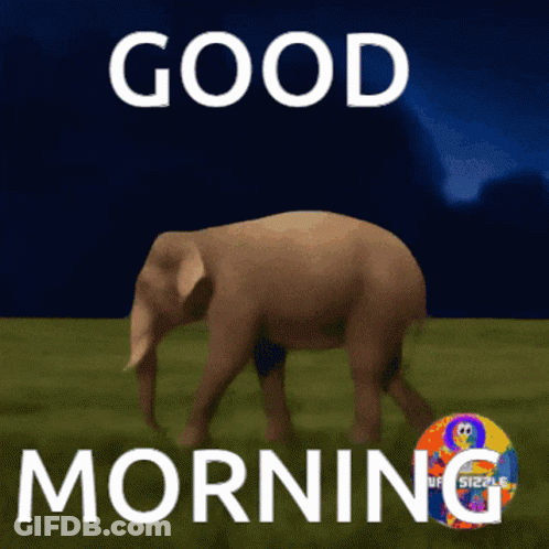Elephant Saying Good Morning GIF