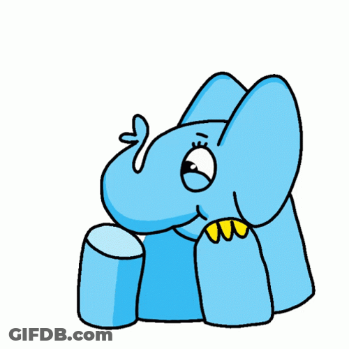 Elephant Shows Empathy For All GIF