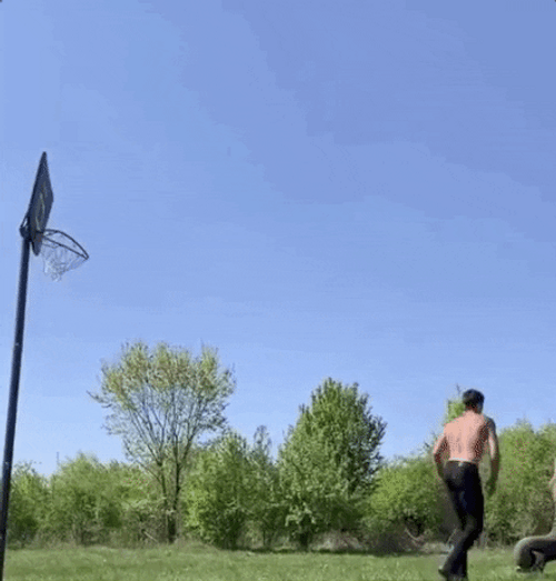 Elephant Throwing Man Basketball GIF