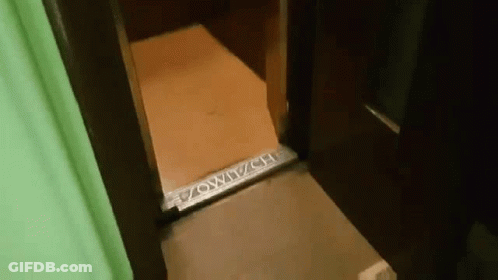 Elevator Door Close Up Voyager GIF