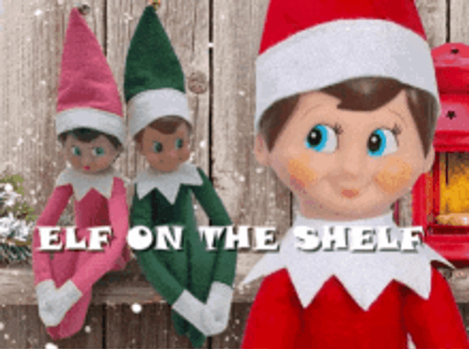 Elf On Shelf GIF