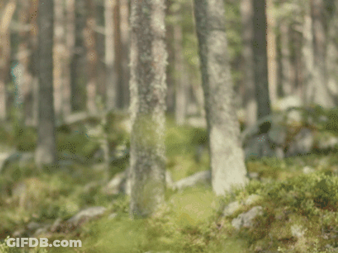 Elf Santa Carrying Baskets GIF