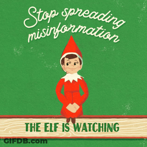 Elf Santa Stop Spreading Misinformation GIF