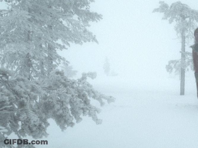 Elf Santa Walking Around The Snow GIF