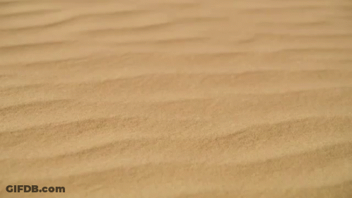 Eli Rose Written In Red Letters On Sandy Surface GIF
