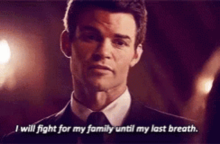 Elijah Mikaelson Vampire Diaries I Will Fight GIF
