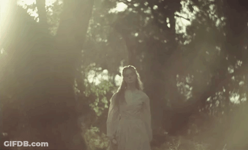 Elle Fanning Sofia Coppola The Beguiled GIF