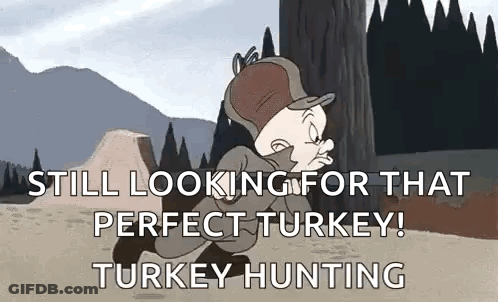 Elmer Fudd From Looney Tunes Is Looking For A Perfect Turkey . GIF