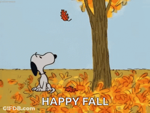Elmer Fudd Holding Shotgun In Field GIF