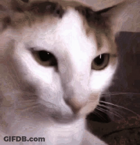 Elmo And Oscar Standing In Front Of Fire GIF