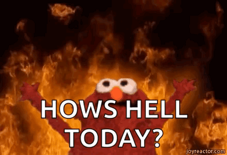 Elmo Fire How's Hell Today GIF