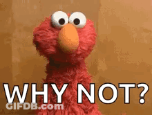 Elmo From Sesame Street Is Asking The Question Why Not ? GIF