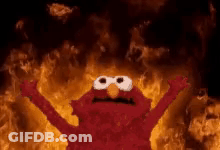 Elmo From Sesame Street Is Standing In Front Of A Wall Of Flames . GIF