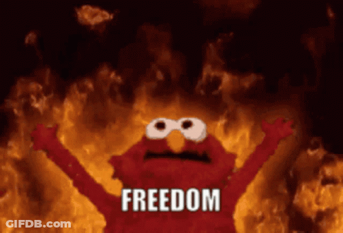 Elmo From Sesame Street Saying Freedom GIF