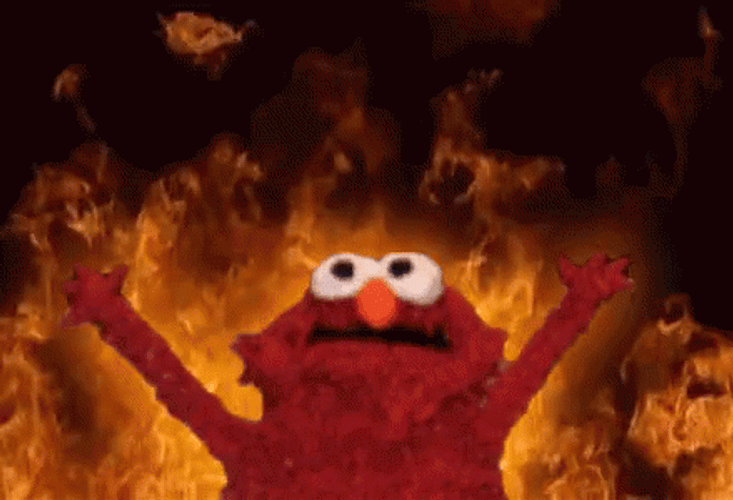 Elmo Hands Up For Chama GIF