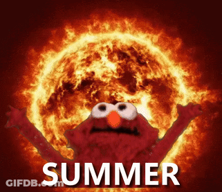 Elmo Is Standing In Front Of A Burning Sun And The Word Summer Is Written Below Him GIF