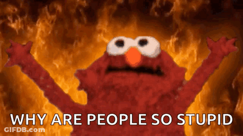 Elmo Is Standing In Front Of A Fire With The Words Why Are People So Stupid GIF
