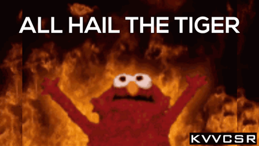 Elmo Meme All Hail The Tiger GIF