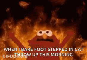 Elmo On Fire When I Bare Foot Stepped In Cat Throw Up GIF