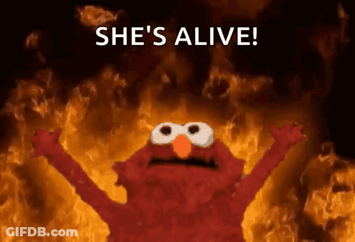 Elmo Surrounded By Flames She's Alive GIF